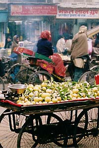 Old Delhi Market