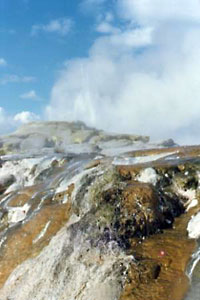 north island