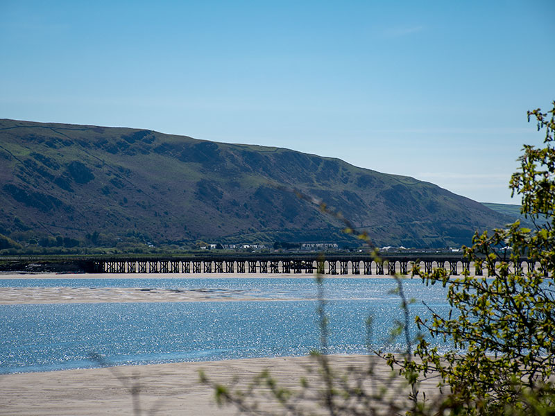 Bridge